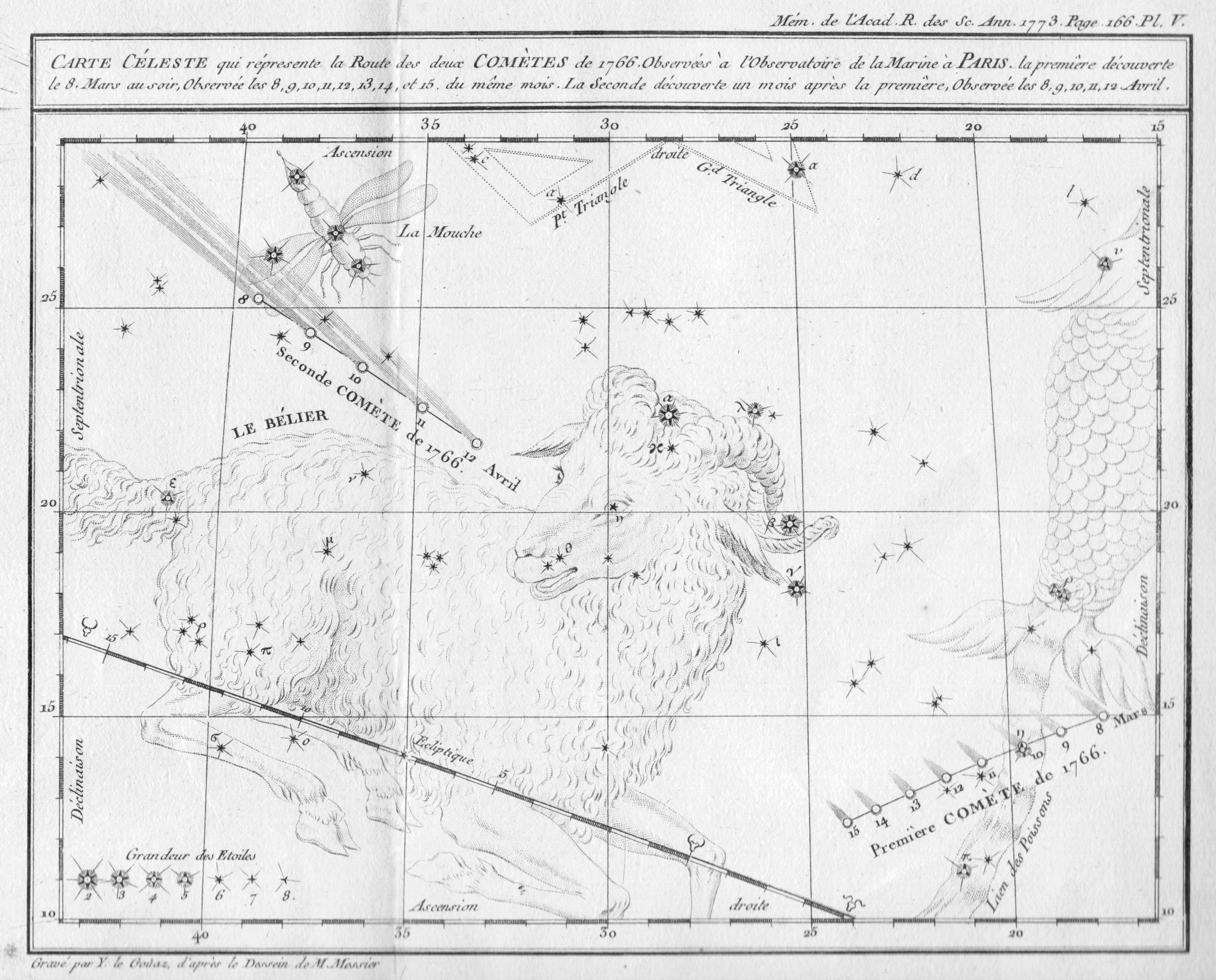 Comet Prints from Histoire de l'Academie Royale des Sciences